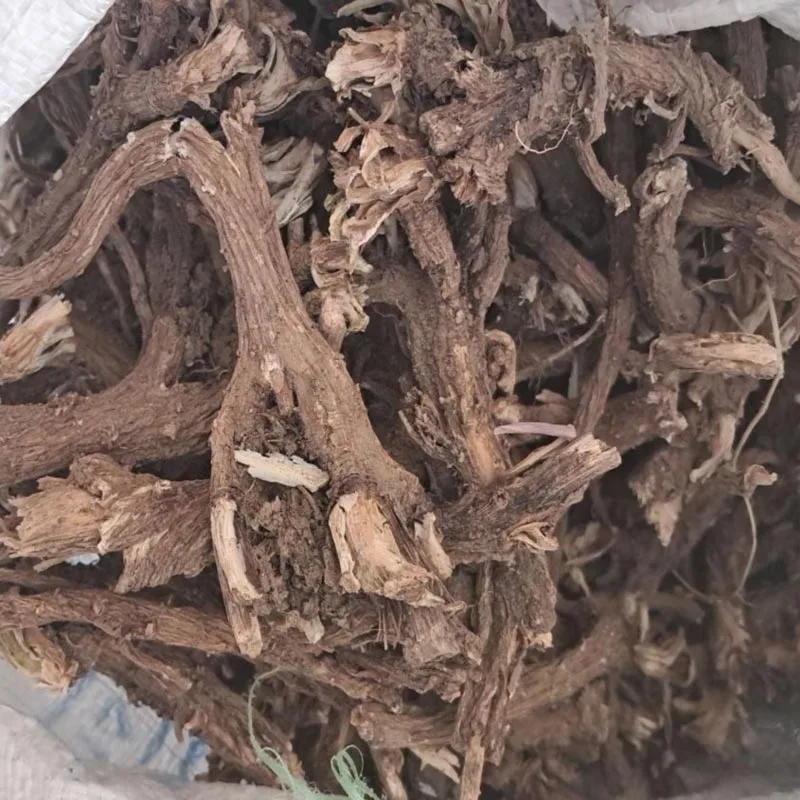 ریشه کاسنی خشک شده درجه یک و بوجاری شده (۱۰۰٪ ارگانیک) - تصویر 3